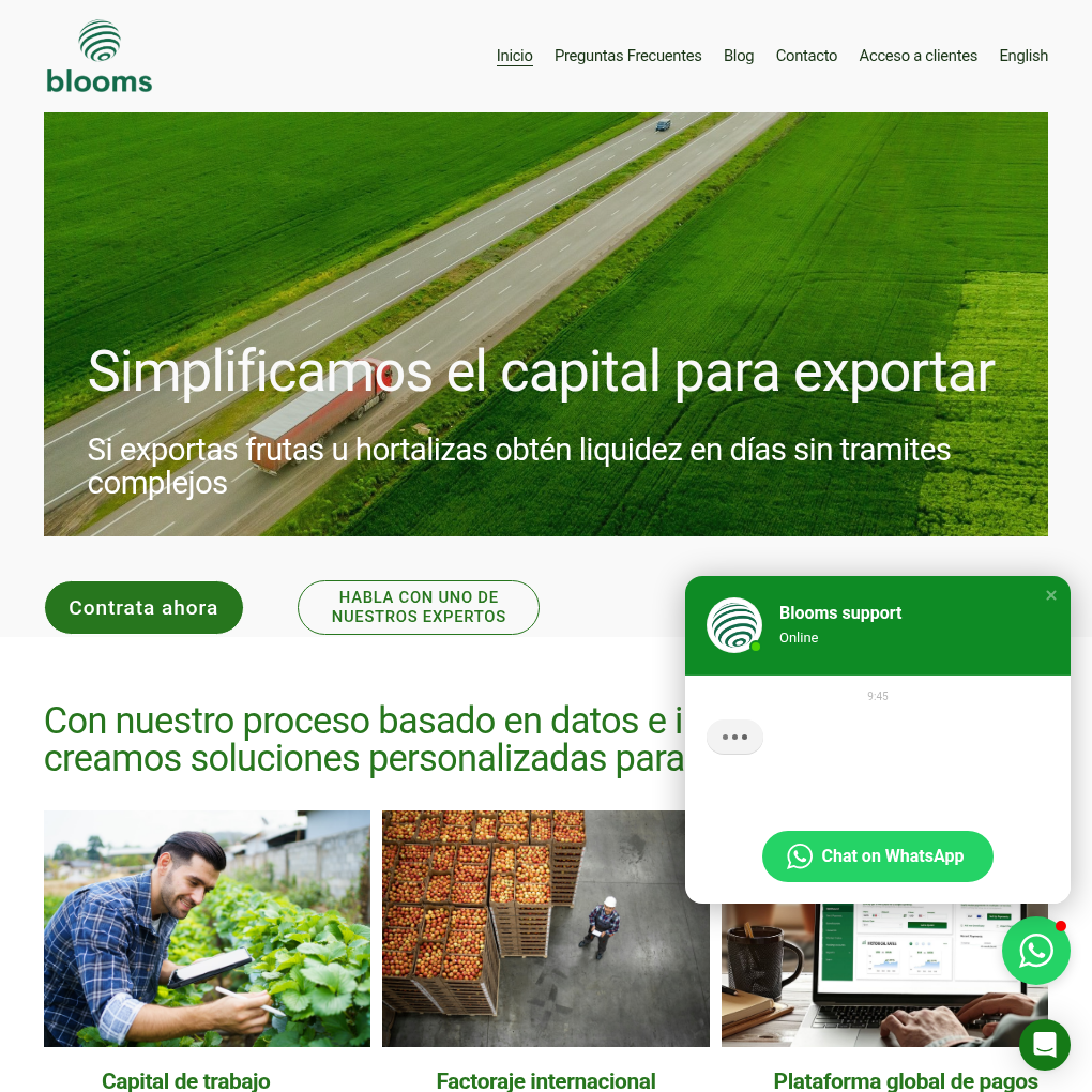 Blooms raises $2.6M Seed to expand AI-driven trade finance and payment solutions for Latin American exporters