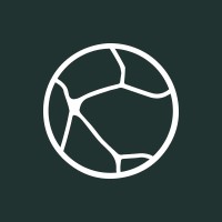 Kintsugi