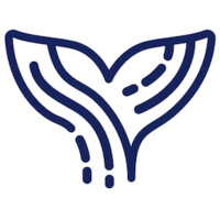 Orca AI